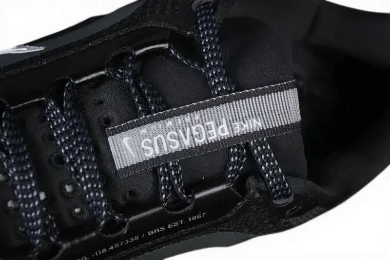 Nike Pegasus Premium Anthracite - Running Shoes