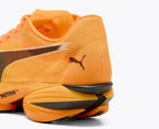 Puma Fast - R Nitro Elite 3 - Orange - Running Shoes